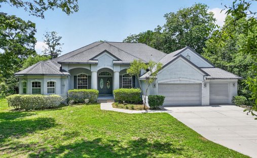 House in Crystal River, Florida, United States 1