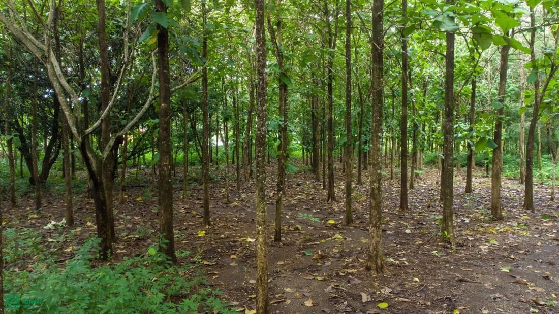 Terreno en Herradura, Provincia de Puntarenas, Costa Rica 1 - 17811439