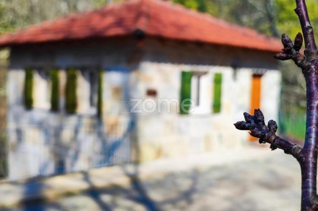 Finca in Soalhaes, Porto District, Portugal 5 - 18613849