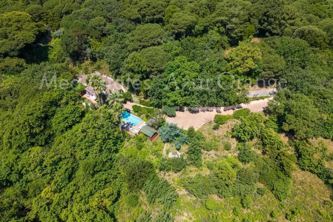 House in La Garde-Freinet, Provence-Alpes-Côte d'Azur, France 4 - 18610954