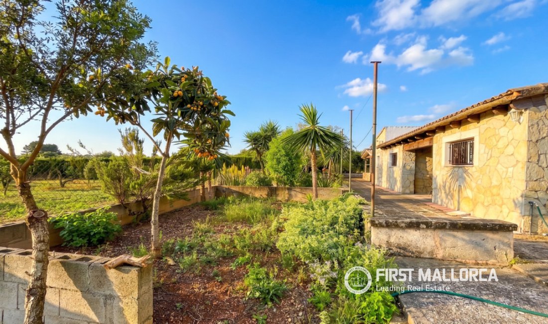 Country House in Sencelles, Balearic Islands, Spain 5 - 18602598