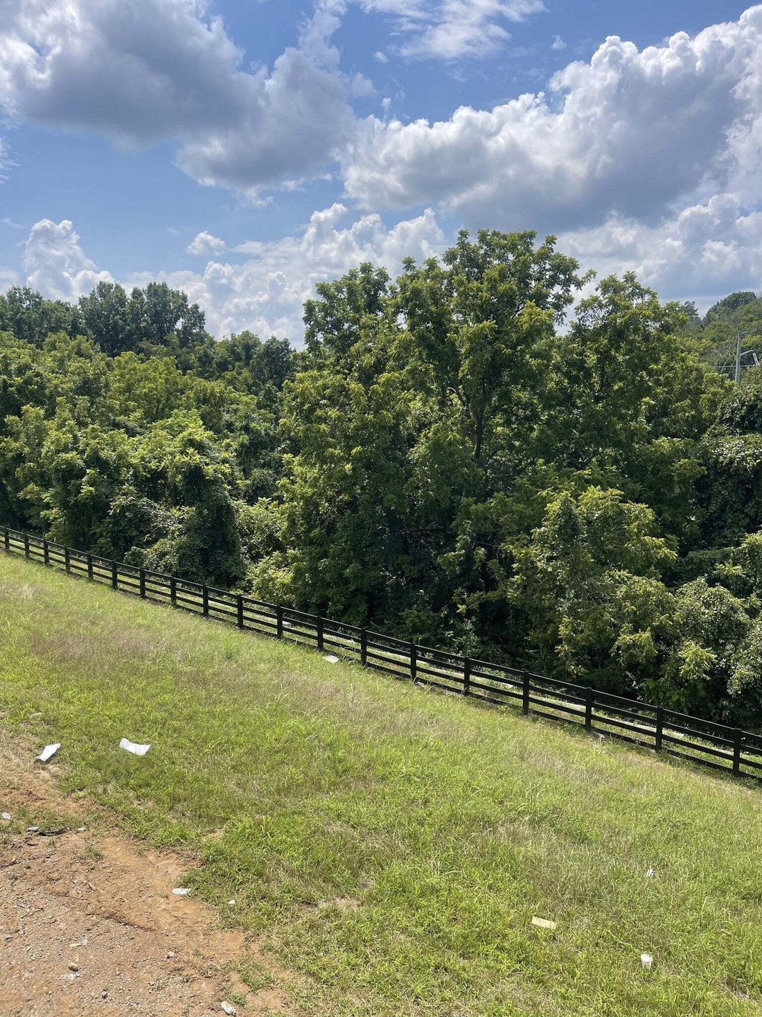 House in Franklin, Tennessee, United States 5 - 18290799