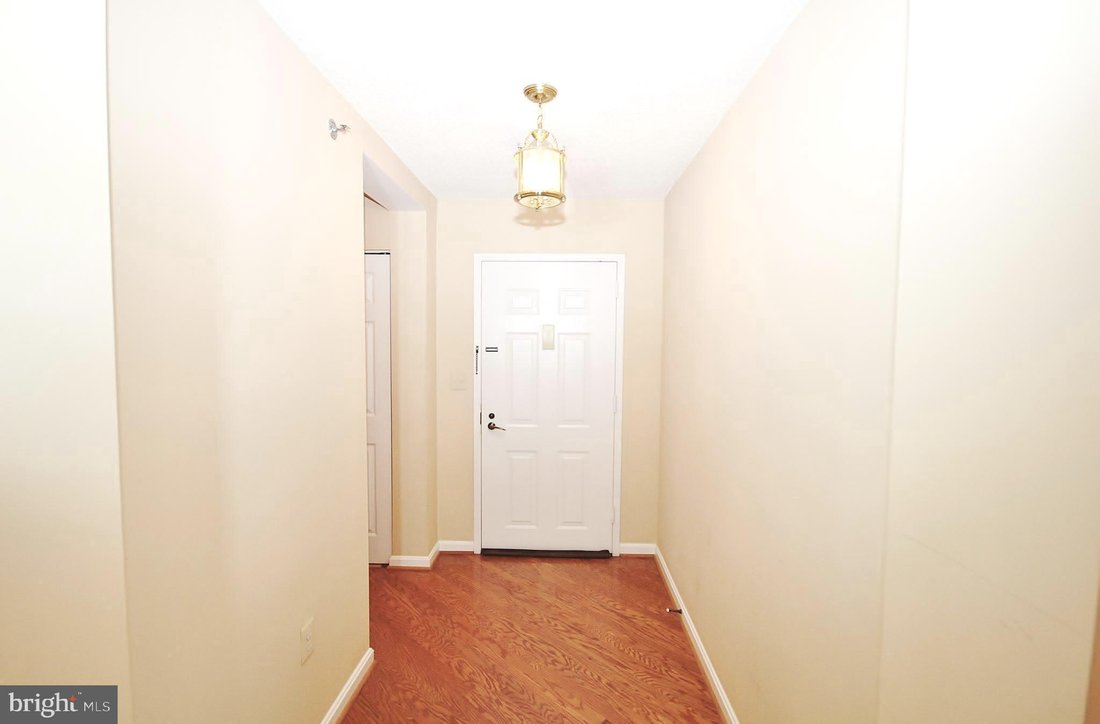 Condo in Alexandria, Virginia, United States 3 - 18608986