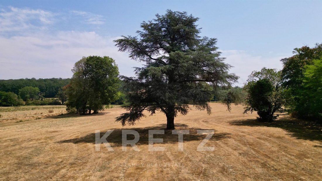 Estate in Chateaumeillant, Centre-Val de Loire, France 2 - 18611088