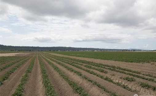 Land in La Conner, Washington, United States 1