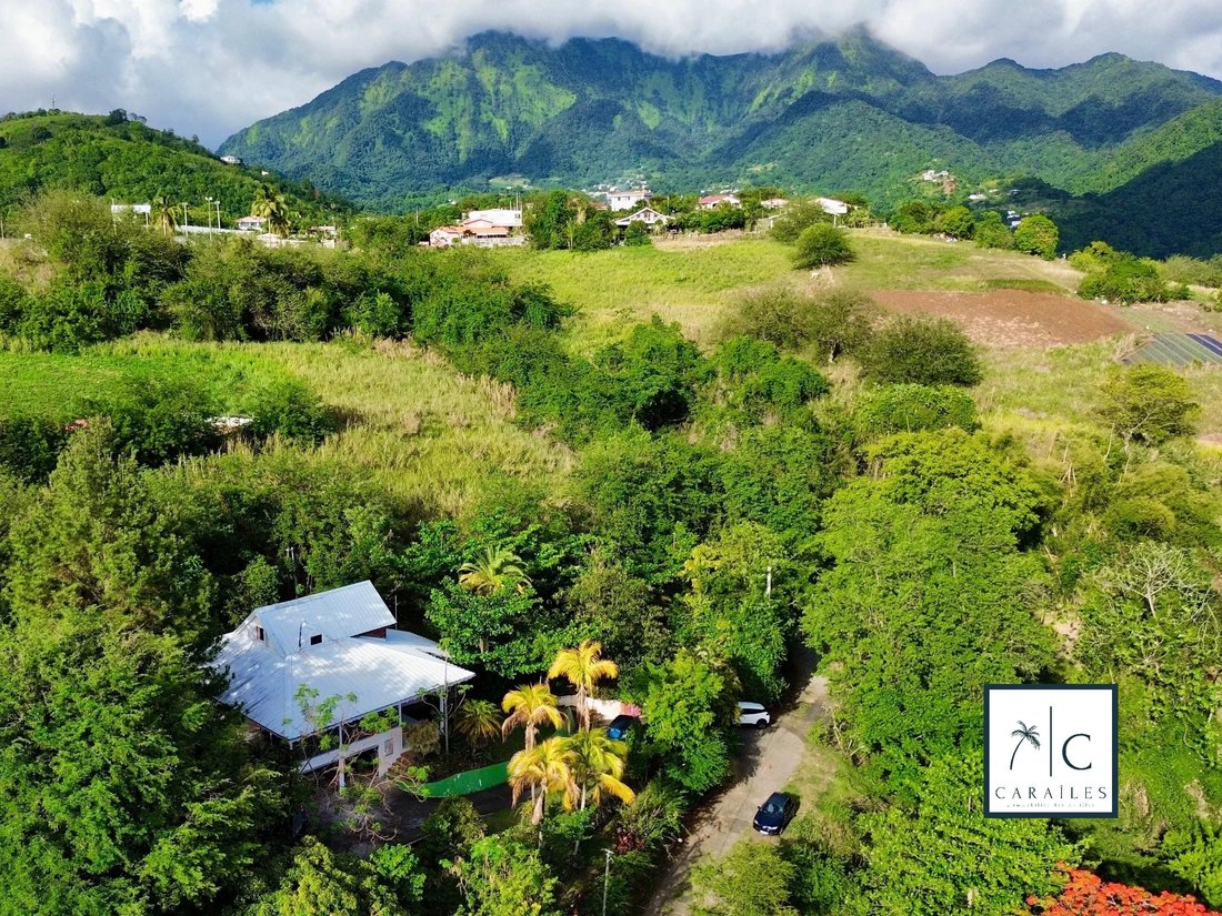 Villa in Le Carbet, Saint-Pierre, Martinique 2 - 18610972
