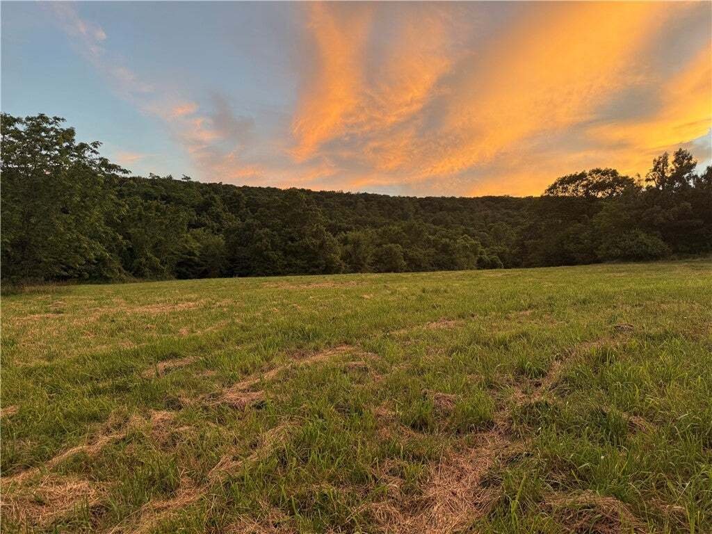 House in Prairie Grove, Arkansas, United States 5 - 18179474