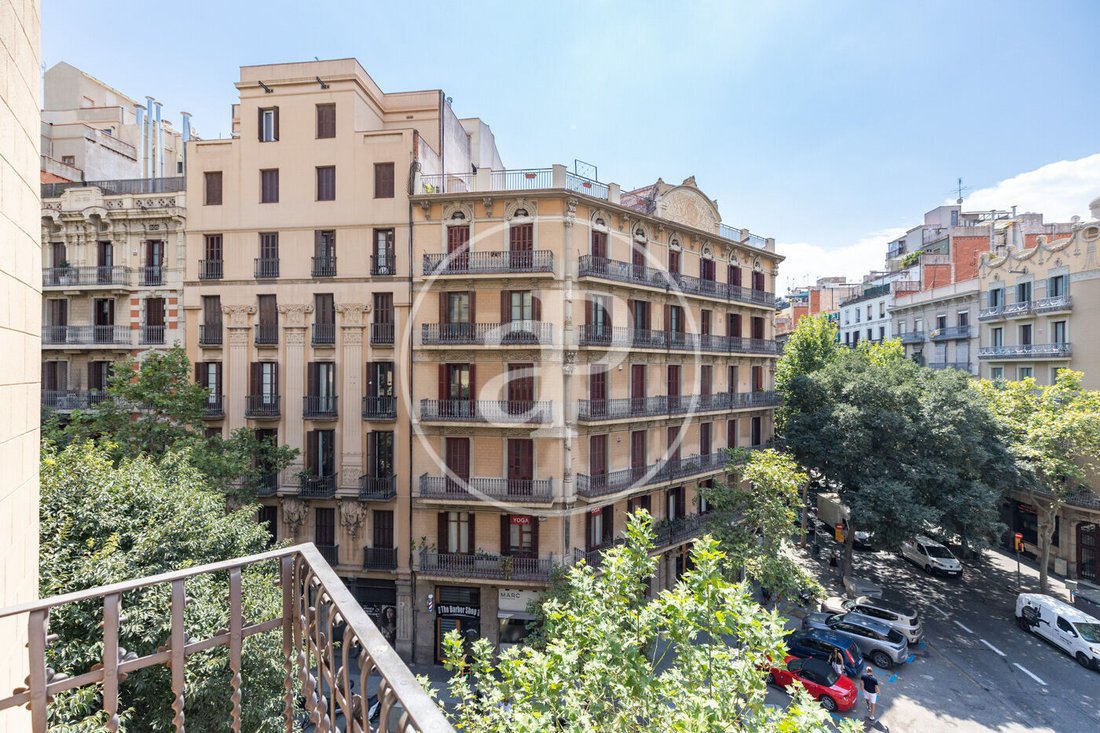 Apartment in Eixample, Barcelona, Spain 4 - 15879990