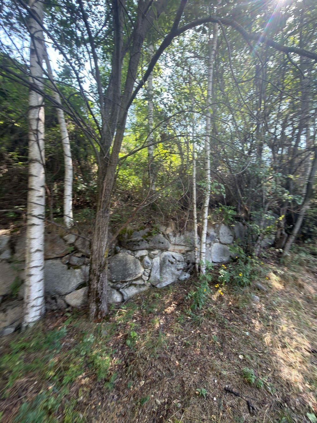 Land in Els Cortals d'Encamp, Andorra 1 - 18609360