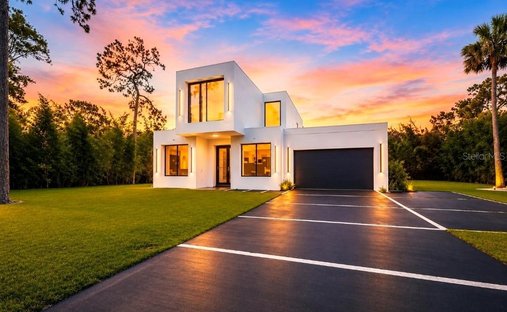 House in Odessa, Florida, United States 1