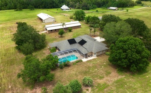 Farm Ranch in South Brooksville, Florida, United States 1