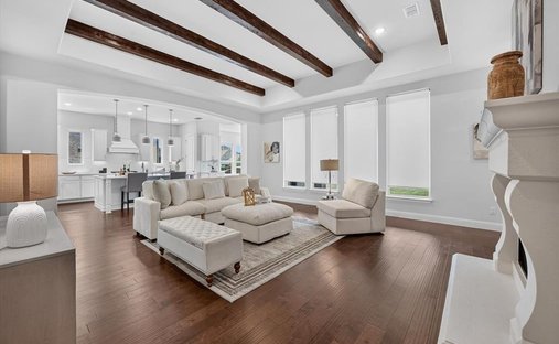 House in Frisco, Texas, United States 1
