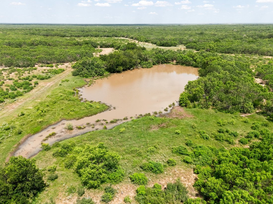 Farm Ranch in Pearsall, Texas, United States 1 - 18611381
