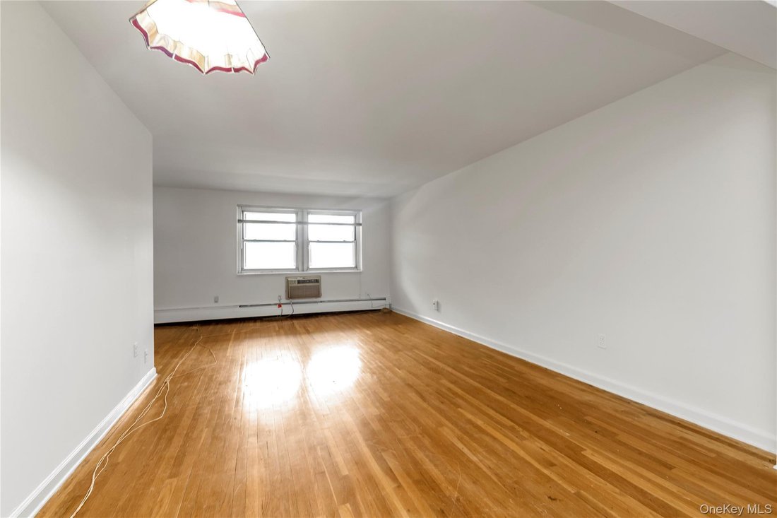 Co Op in Great Neck, New York, United States 5 - 18613243