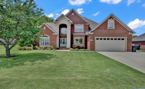 House in Decatur, Alabama, United States 1