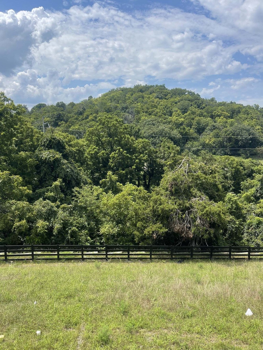 House in Franklin, Tennessee, United States 4 - 18290799