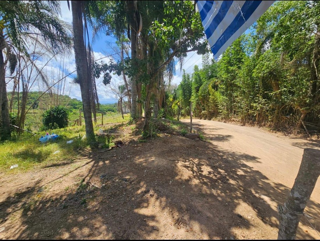 Land in Xalapa, Veracruz, Mexico 4 - 18611486