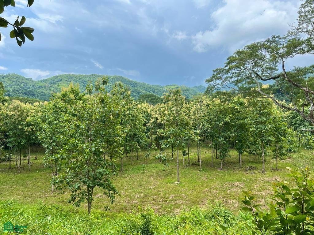 Land in Jaco, Puntarenas Province, Costa Rica 4 - 17811443