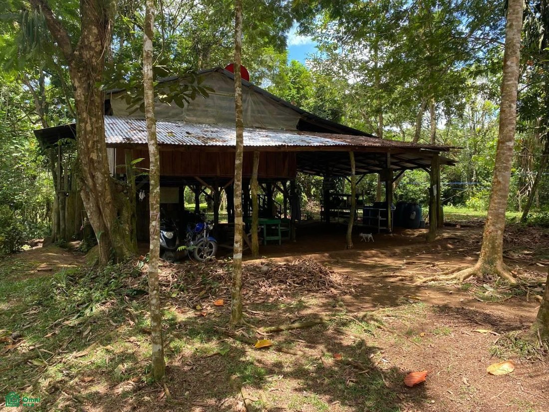 Land in Sarapiqui, Costa Rica 3 - 17811449