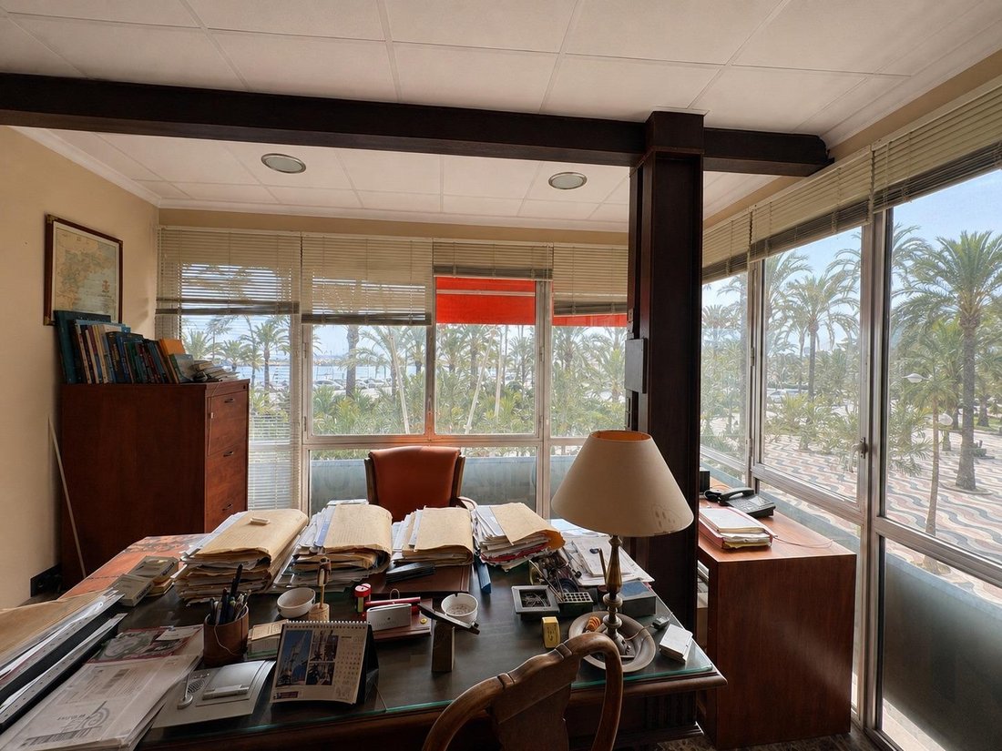 Apartment in Costa Blanca, Valencian Community, Spain 5 - 17342623