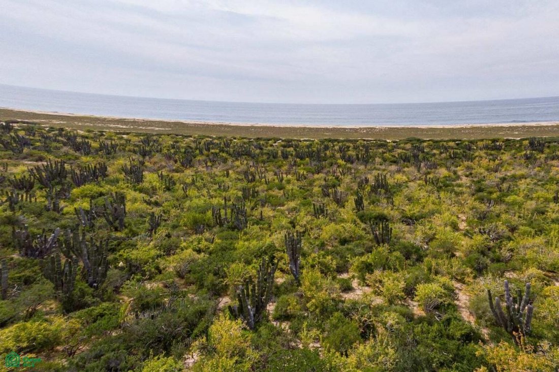 Land in Las Playitas, Baja California Sur, Mexico 1 - 17808242