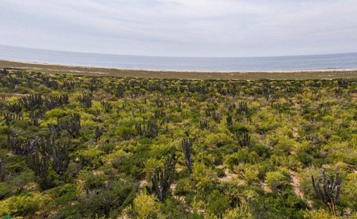 Land in Las Playitas, Baja California Sur, Mexico 1