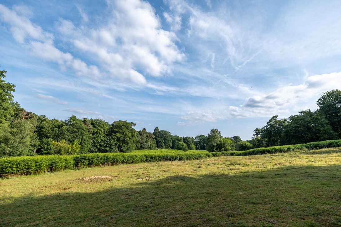 Land in Sunninghill, England 5 - 18613733