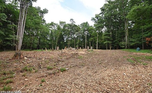 Terreno en Knoxville, Tennessee, Estados Unidos 1