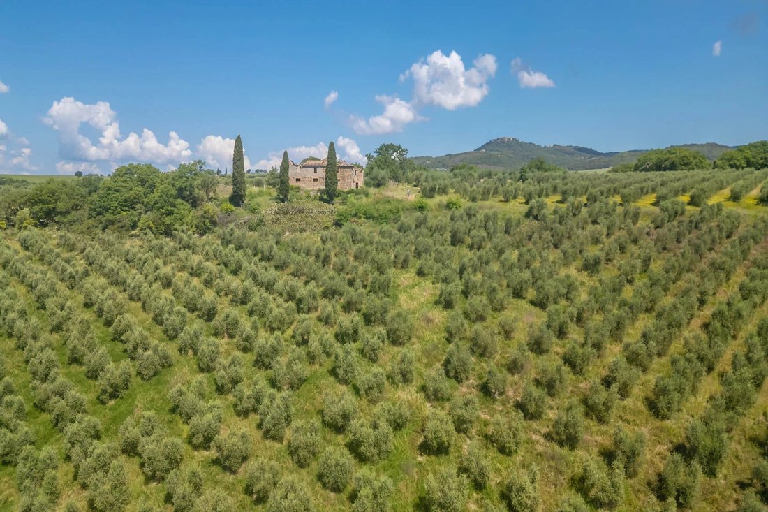 Estate in Montalcino, Tuscany, Italy 3 - 18610747