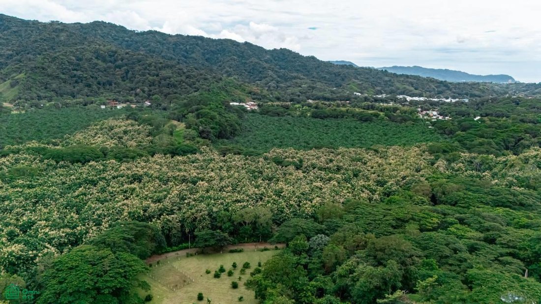 Land in Jaco, Puntarenas Province, Costa Rica 1 - 17811443
