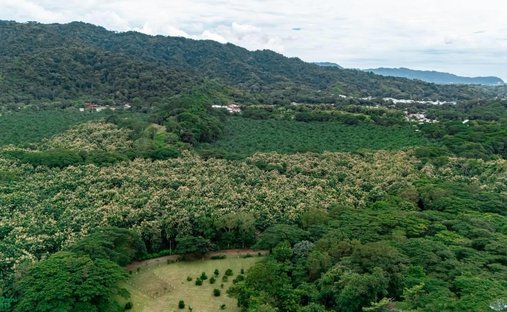 Land in Jaco, Puntarenas Province, Costa Rica 1