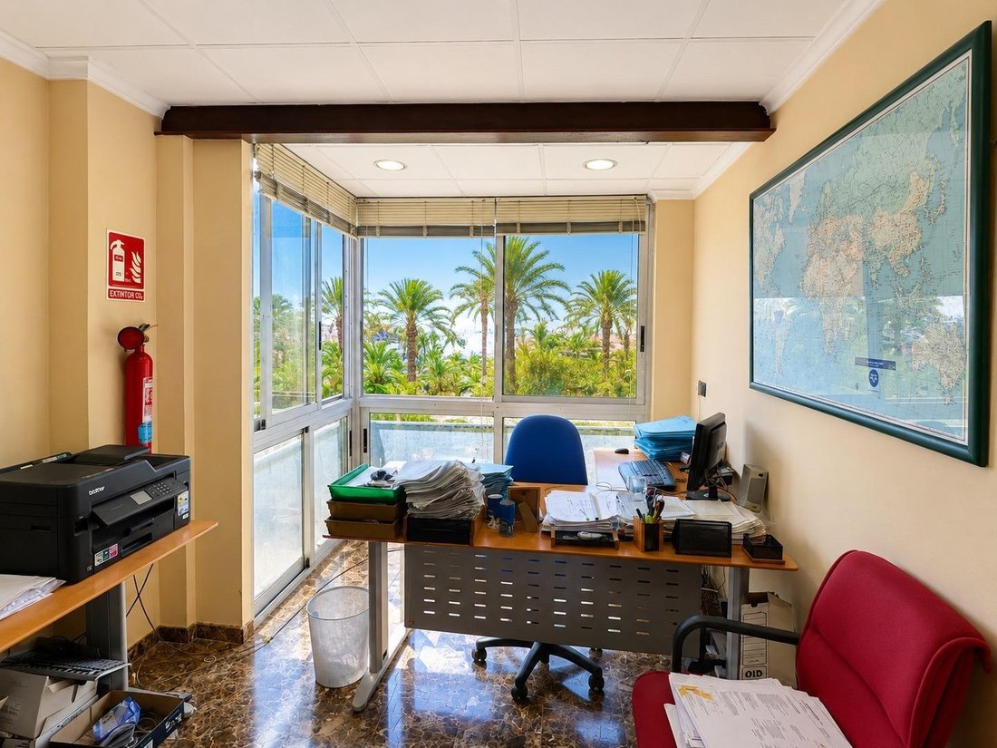 Apartment in Costa Blanca, Valencian Community, Spain 4 - 17342623