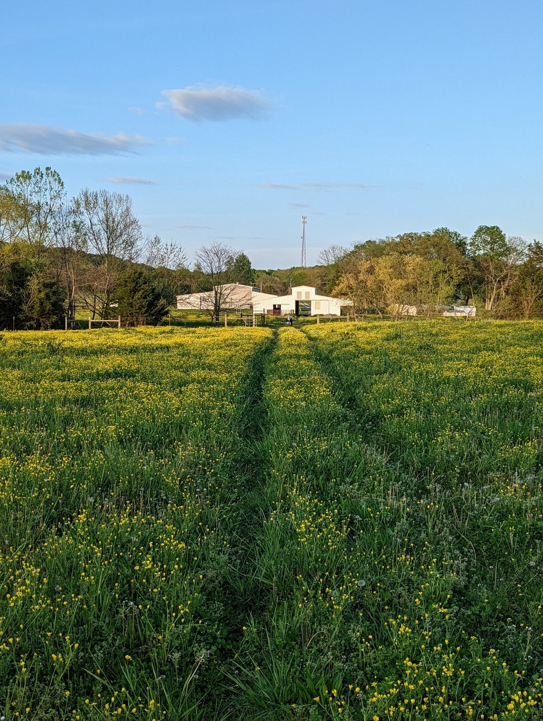 House in Lebanon, Tennessee, United States 3 - 18611386