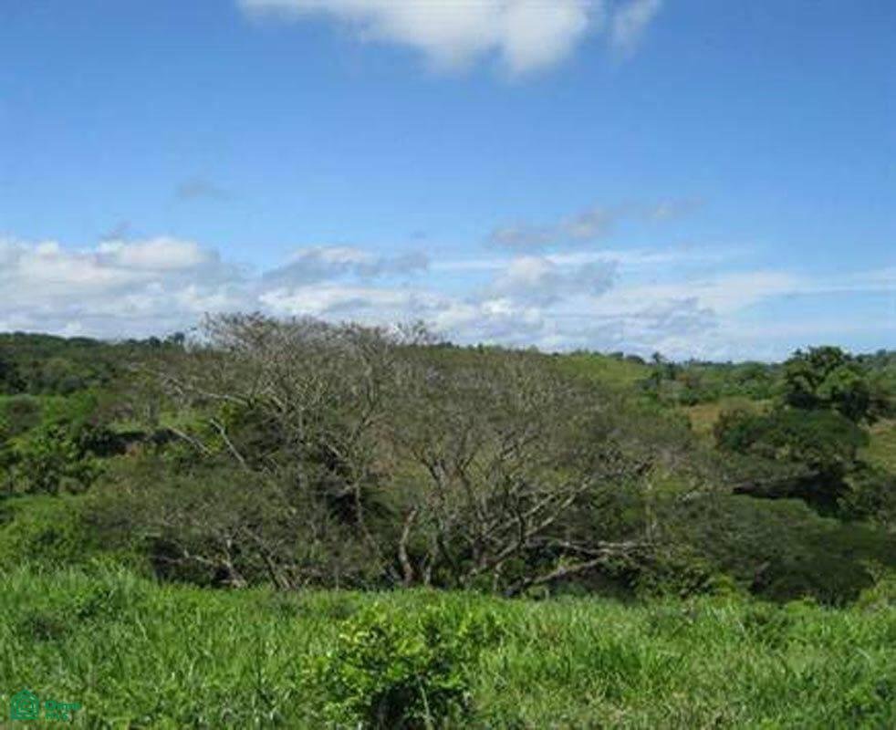 Land in Parrita, Parrita, Costa Rica 5 - 17811446