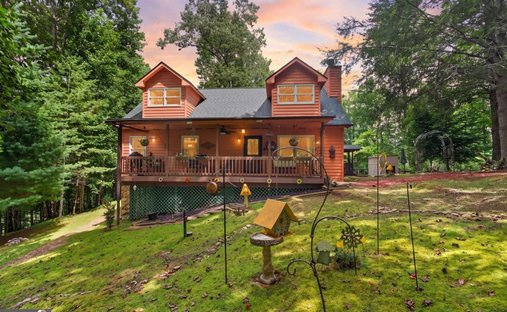 House in Ellijay, Georgia, United States 1
