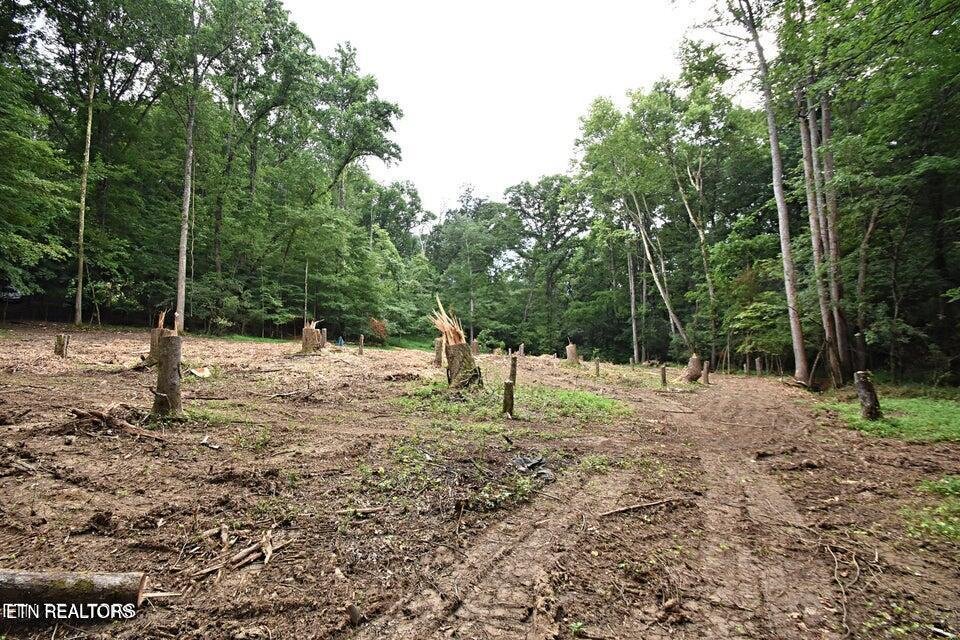 Land in Knoxville, Tennessee, United States 4 - 18609655