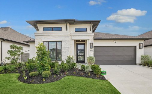 House in Conroe, Texas, United States 1