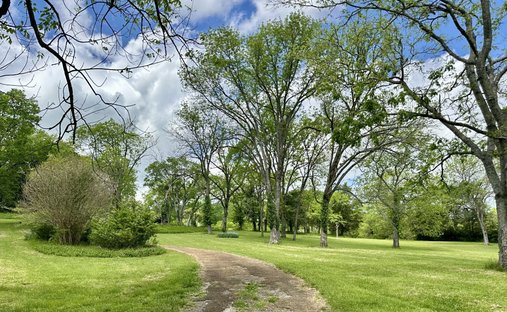 Land in Forest Hills, Tennessee, United States 1