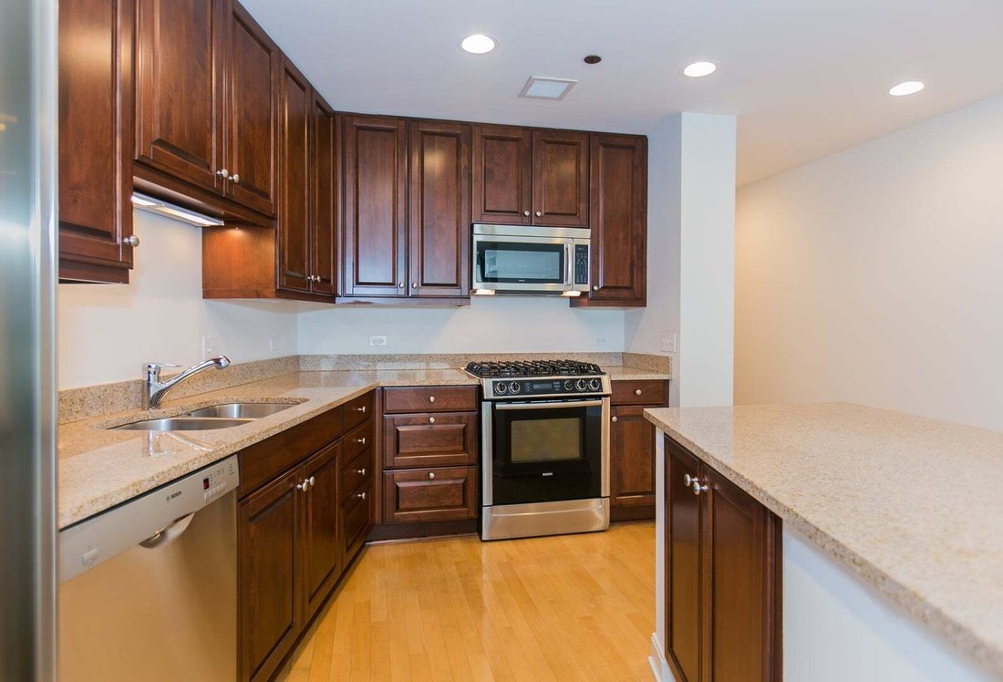 Condo in Chicago, Illinois, United States 5 - 18612689