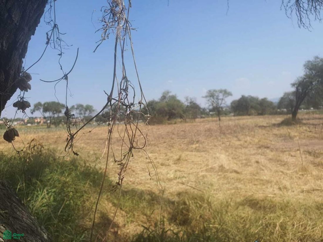 Land in Puente Grande, Jalisco, Mexico 2 - 18340221