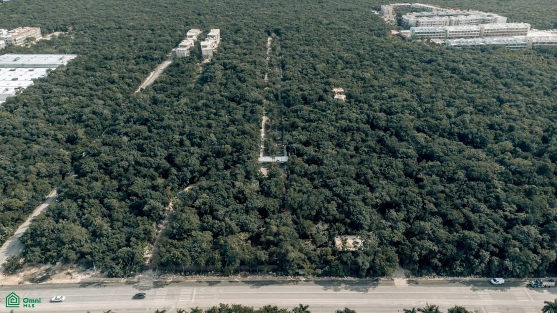 Terreno in Alma Tulum Hotel, Quintana Roo, Messico 2 - 17810213