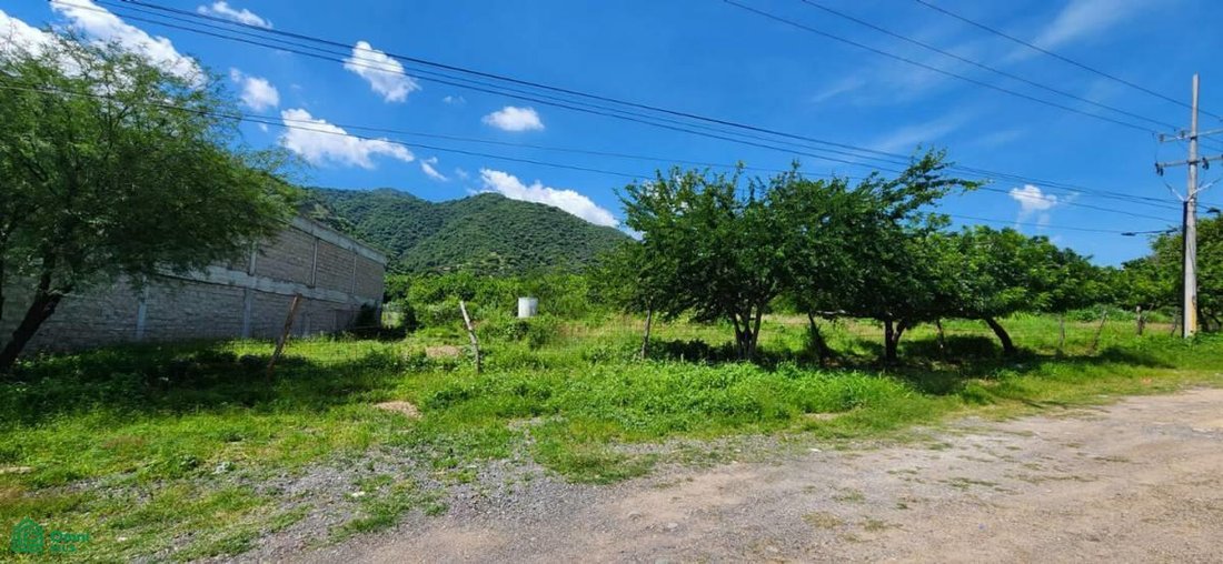 Terreno en San Antonio Tlayacapan, Jalisco, México 1 - 17804254