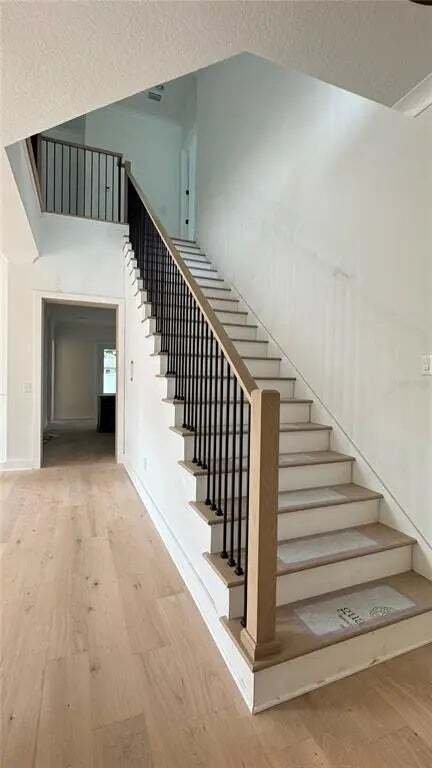 House in Tampa, Florida, United States 5 - 15521500