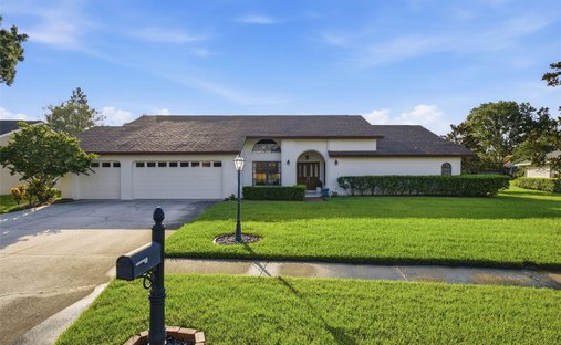Maison à Tampa, Floride, États-Unis 1