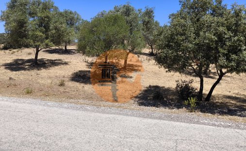 Land in Portugal 1