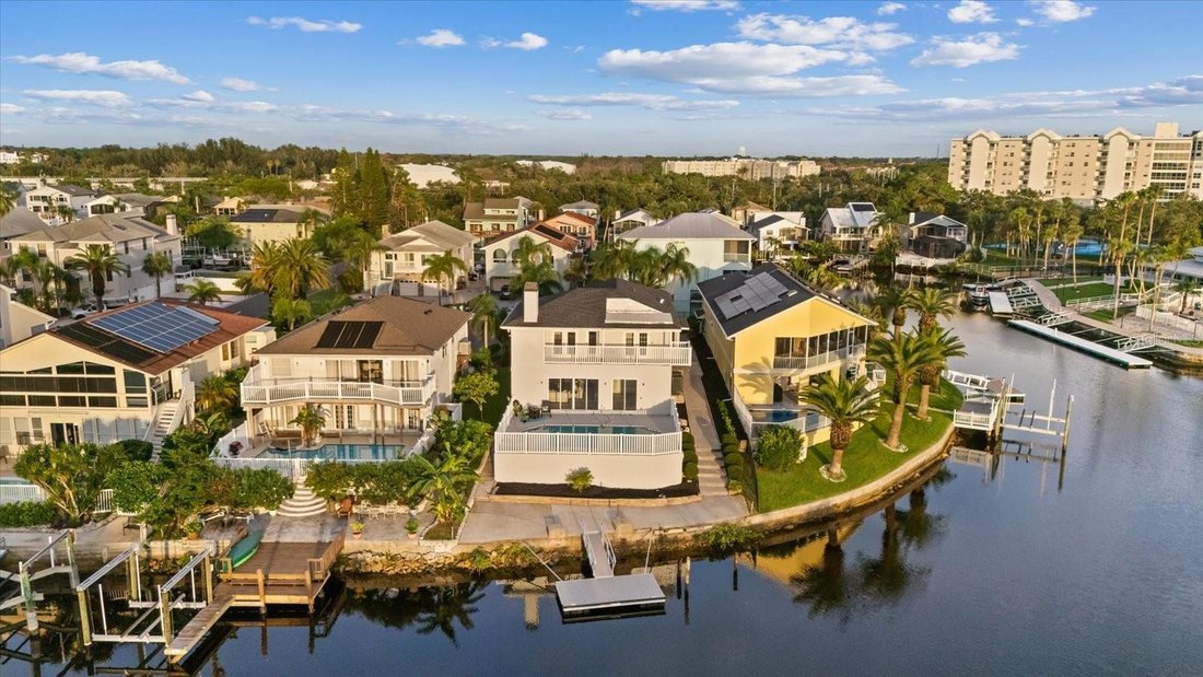 House in New Port Richey, Florida, United States 3 - 18615499
