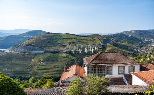 Finca a Vilarinho dos Freires, Distretto di Vila Real, Portogallo 1
