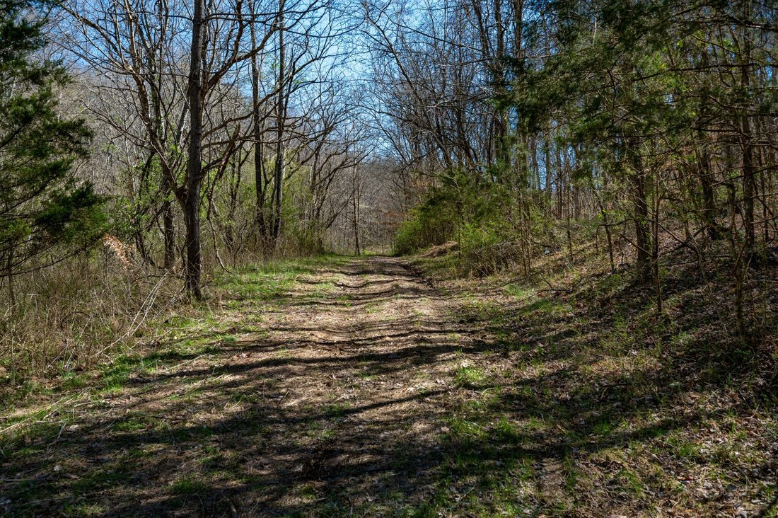 Land in Franklin, Tennessee, United States 3 - 17250000