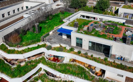 Apartment in Aiguerelles, Montpellier, France 1