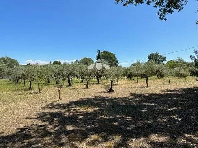 Estate in Cotignac, Provence-Alpes-Côte d'Azur, France 5 - 16296550